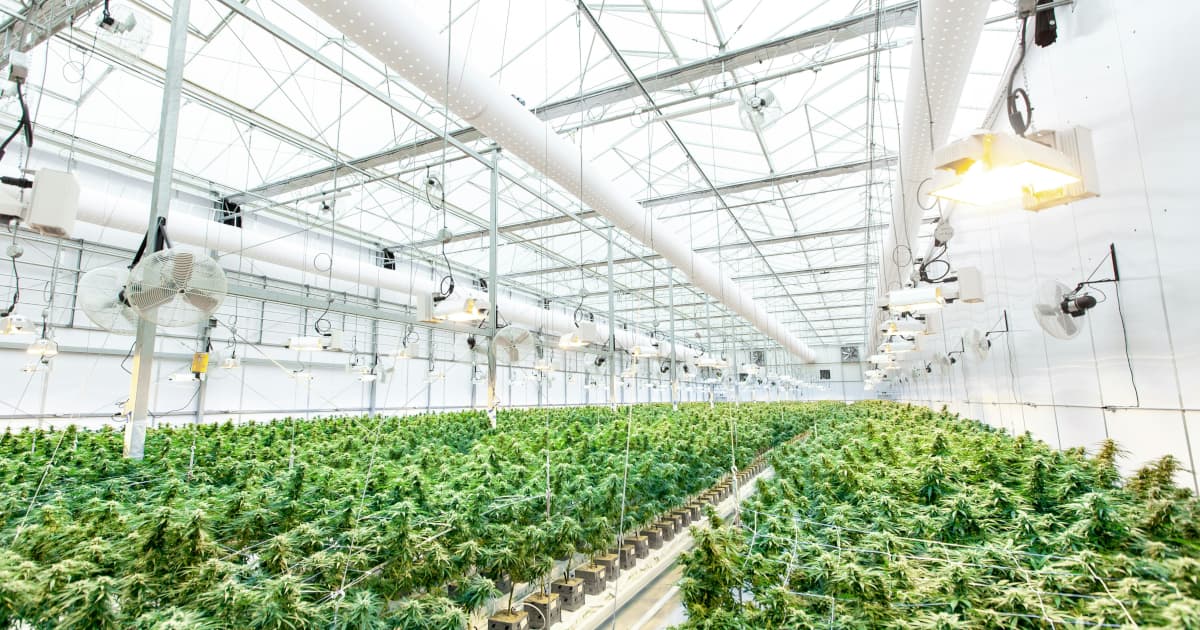 Cannabis Dispensaries Face Growing Legal Risks with Cashless ATM Payment Methods