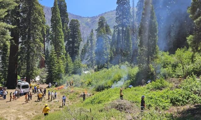 Giant Sequoia Lands Coalition Achieves Significant Progress in Forest Restoration and Wildfire Mitigation